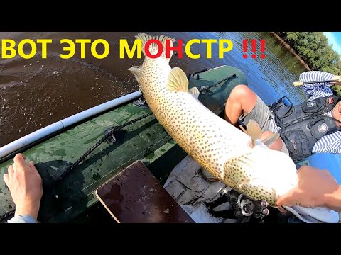 Видео: ВОТ ЭТО МОНСТР ! Таких ЩУК Я ещё не ЛОВИЛ ! Рыбалка на реке АМУР