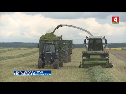 Видео: ЗАГОТОВКА КОРМОВ