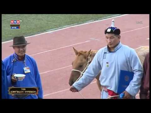 Видео: 26 дах жилийн хамгийн залуу начнаар Сэлэнгэ аймгийн Цагаан нуур сумын харьяат Б.Орхонбаяр тодорлоо