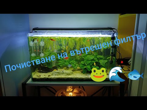 Видео: Смяна на 10% вода / сифониране на дъно / почистване на филтърна помпа 🐟🐟🐟