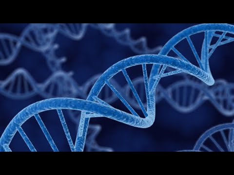 Видео: Стратегии размножения: К, r и все, что между ними