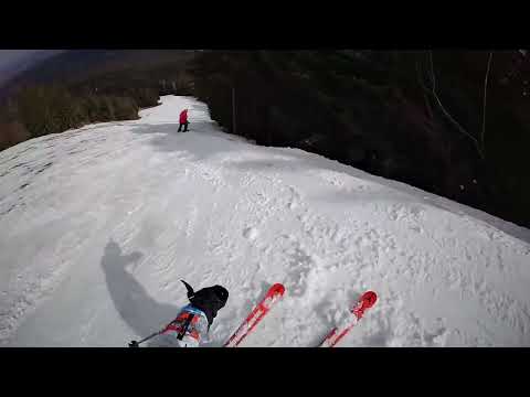 Видео: Ястребец 1 в края на сезона;Yastrebets 1 at the end of the season
