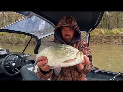 Видео: ФИДЕРА НА ПОДЪЕМЕ ВОДЫ ! Рыбалка на Оби 29 сентября 2025г.