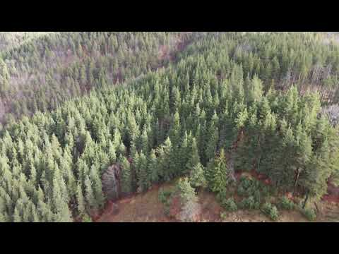 Видео: От Река до Деринкедик