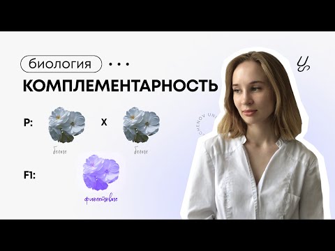 Видео: Биология | Взаимодейcтвие генов. Комплементарность