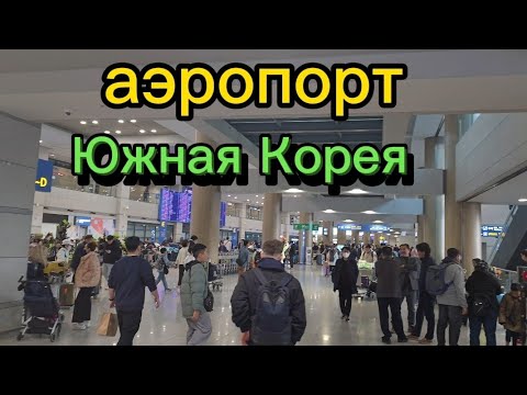 Видео: Как пройти 100% удачно паспортный контроль в Южной Корее. #корея #жизньвкорее #влогкорея