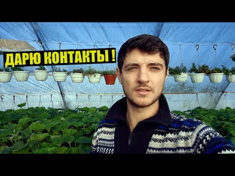 Видео: На этих сайтах я покупаю семена цветов и овощей!