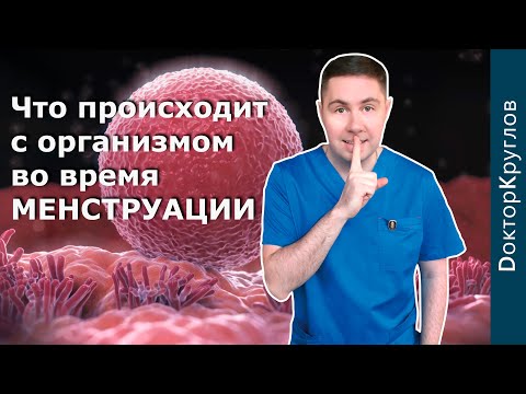 Видео: МЕНСТРУАЛЬНЫЙ цикл | КАК это работает | Сложнейший процесс