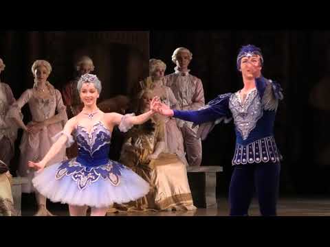 Видео: Maria Ilyushkina & Nikita Korneev Илюшкина и Корнеев (Mariinsky) Bluebird pas de 2, Sleeping Beauty