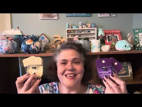 Видео: Захватывающие находки из списка желаний для Dollar Tree во вторник 11-4-25