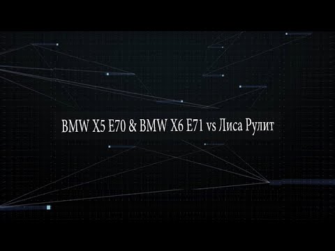 Видео: BMW X5 E70 & X6 E71 vs Лиса Рулит