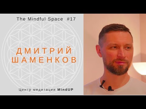 Видео: Медитация и теория функциональных систем// Дмитрий Шаменков