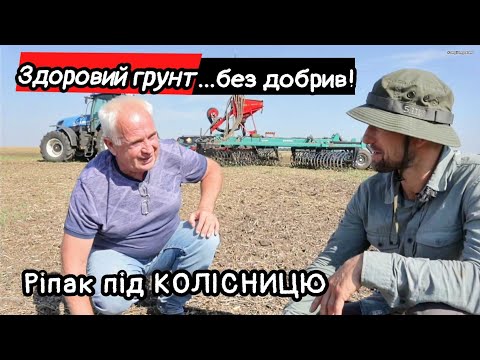 Видео: Vaderstad не треба❌ якщо є Колісниця😳  Вся волога в землі. Сіємо ріпак під Колісницю та сівалку.