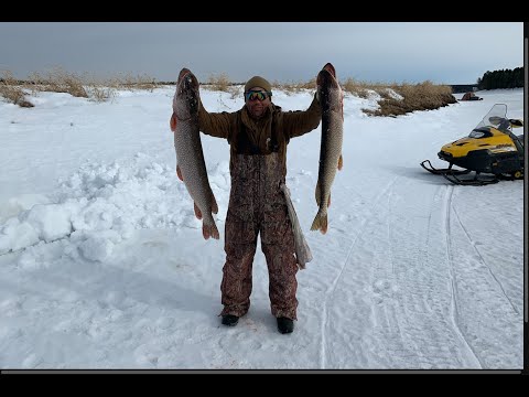 Видео: РЫБАЛКА НА ЩУК В МЕТЕЛЬ НА СЕВЕРЕ 2020. ОНИ НЕ ЛЕЗУТ В ЛУНКУ