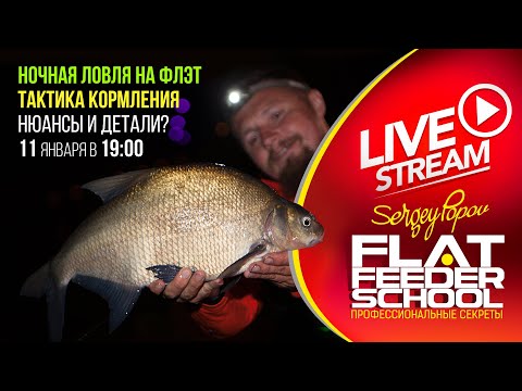 Видео: Ночной ФЛЭТ ФИДЕР / Тактика и принципы ловли / #29 Лекция / FLAT FEEDER SCHOOL