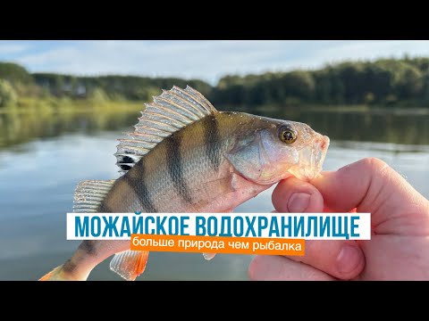 Видео: Можайское водохранилище. Тренировка