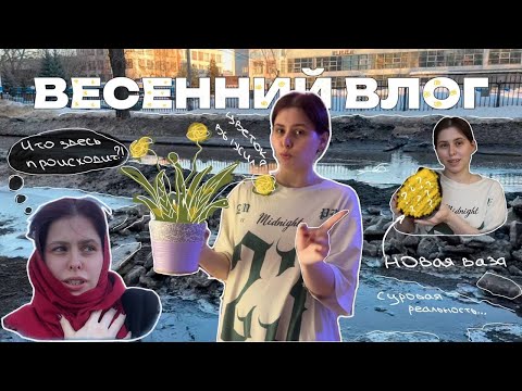 Видео: VLOG | тихий влог | первый весенний выходной