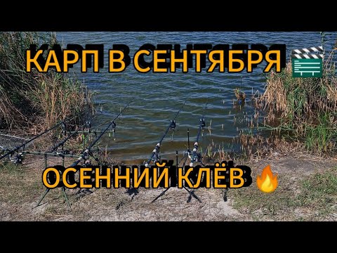 Видео: ТА САМАЯ РЫБАЛКА РАДИ КОТОРОЙ ХОЧЕТСЯ ВЕРНУТЬСЯ ЕЩЁ!🎣