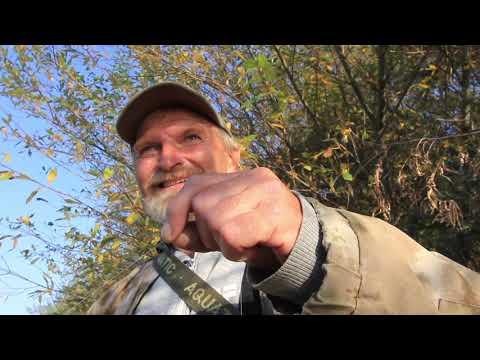 Видео: За форелью на искусственные мухи и личинку поденки