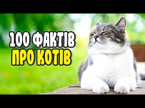 Видео: 100 ФАКТІВ ПРО КОТІВ | ЦІКАВО ЗНАТИ