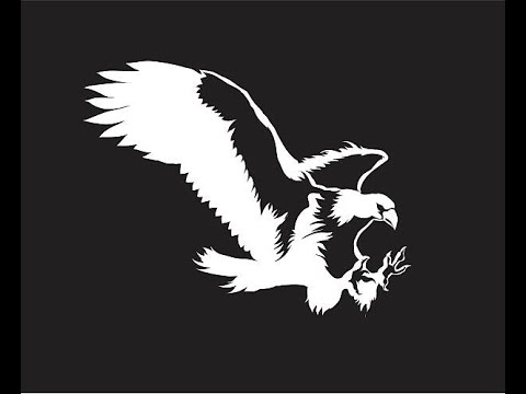 Видео: Звуки хищных птиц Отпугивание птиц и грызунов