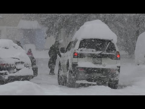 Видео: Снежный коллапс в Риддере