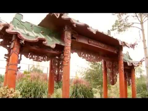 Видео: Осенний сад (Осенние краски сада). Ландшафтные хитрости. Выпуск 94