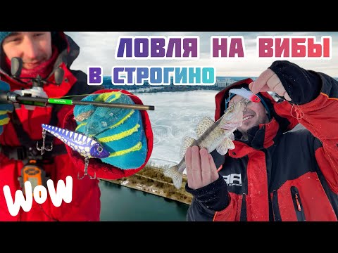 Видео: Ловля на ВИБЫ в знаменитом месте в Строгино!