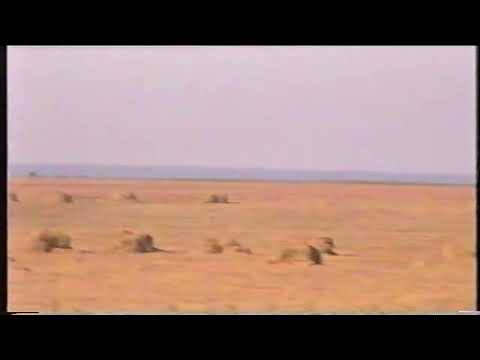 Видео: Уборка урожая 1999 год. СПК "Кузнецовский"