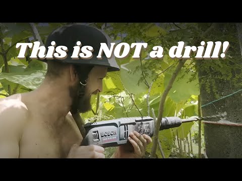 Видео: Строим наш офис в джунглях