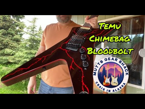 Видео: Обзор и демо распаковка реплики Temu Dimebag Darrell Dime