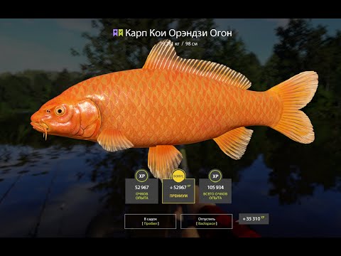 Видео: Проверка фарма серебра на Медном и за трофеями на Янтарку. Русская рыбалка 4. РР 4.