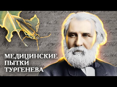 Видео: Медицинские пытки Тургенева. Чем лечили писателя и от чего? // Болезни знаменитостей