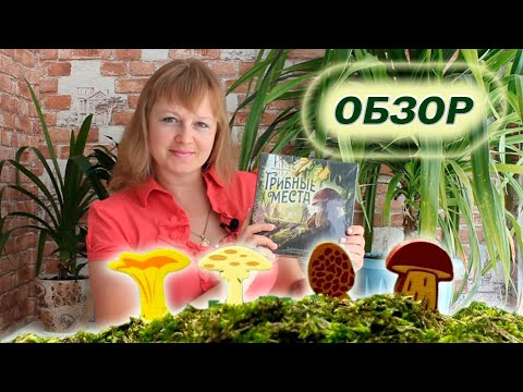 Видео: 🍄🐛 Грибные места / Обзор + мнение / Партия на четверых