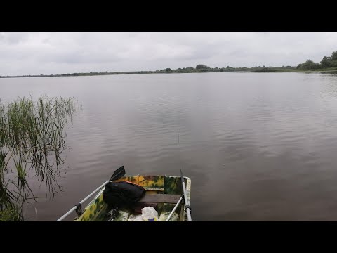 Видео: КОСТРОМСКОЕ МОРЕ, 30 ИЮНЯ, ЛОВИМ ЩУКУ,
