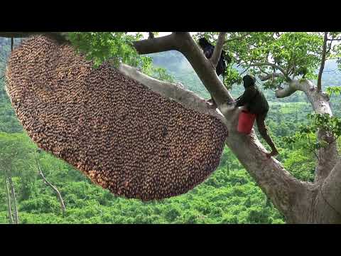 Видео: Самые Нелепые Ошибки Рабочих, Снятые на Камеру