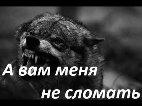 Видео: #музыка #А вам меня не сломать