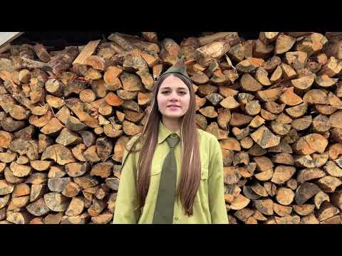 Видео: #ОткрываемБеларусь