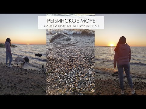 Видео: Рыбинское море/Отдых на природе с детьми и собакой/Конкурсы/Красивые виды/Влог