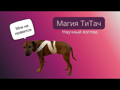 Видео: Магия ТиТач