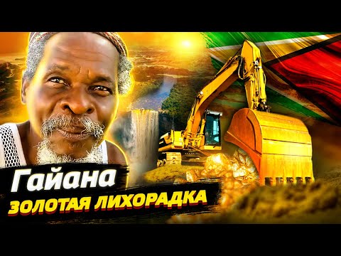Видео: Гайана. Золотая лихорадка. В поисках Эльдорадо