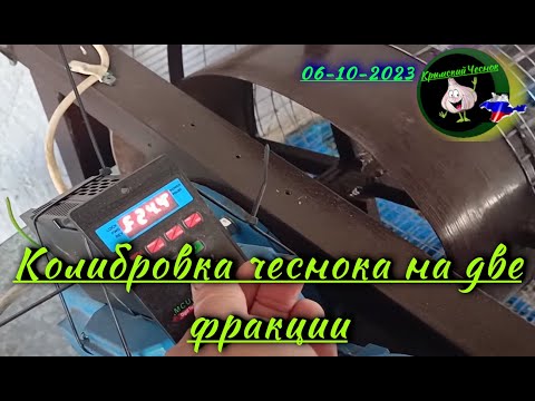 Видео: Калибровка зубков чеснока 2023г