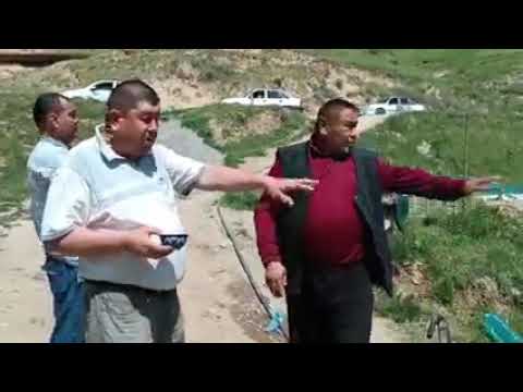 Видео: Кутир булок Сахир касаллигига даво топилди #Qutir_Buloq