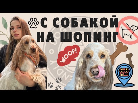 Видео: 🐶С СОБАКОЙ В МАГАЗИН | НАС НЕ ПУСТИЛИ? ❌