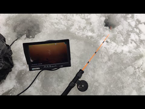 Видео: НЕ ВЛАЗИТЬ В ЛУНКУ! Підводна зйомка. Зимова рибалка 2024