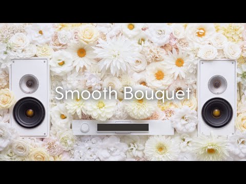 Видео: Smooth Bouquet | Элегантные грувы, чтобы осветить ваш день
