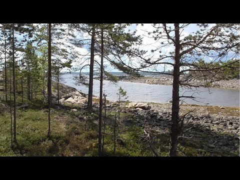 Видео: Экспедиция Кемь - Чупская губа июнь 2022 часть вторая