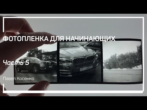 Видео: Современные ч/б фотопленки. Фотопленка для начинающих. Павел Косенко