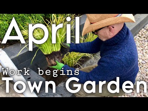 Видео: Травы и папоротники #весеннеесадоводство #городскойсад #весенняяпосадка