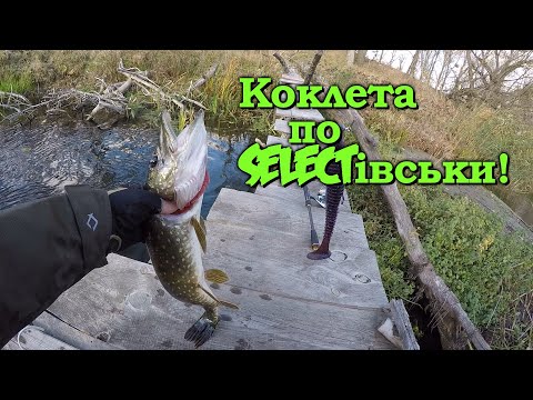 Видео: 💥ПРИМАНКА для ОСЕНІ💥ЩУКА буде 100%🎯